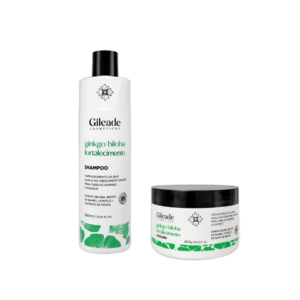 KIT GINGKO BILOBA 300ML